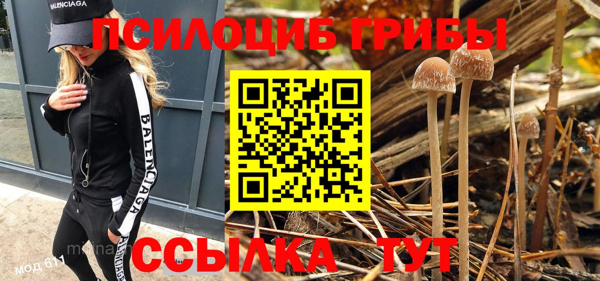 Галлюциногенные грибы Magic Shrooms  где продают наркотики  Орск  Вход с VPN 